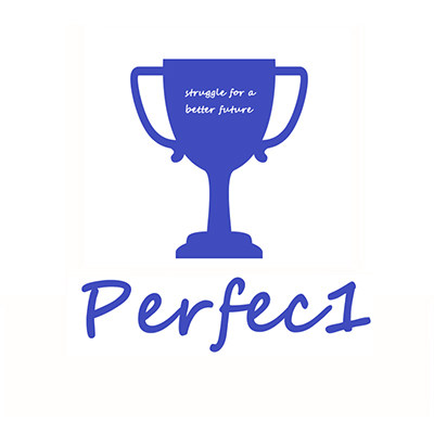 Perfec1 Studio 定制店