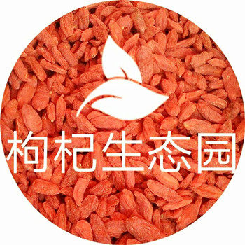 青藏高原农家店