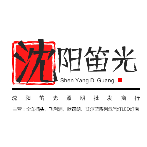 沈阳笛光汽车照明批发商行