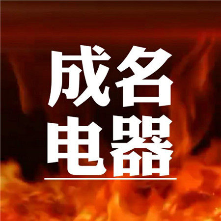 成名电器 品牌音响