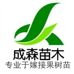 成森苗木