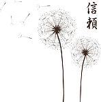护肤宝厂家直销