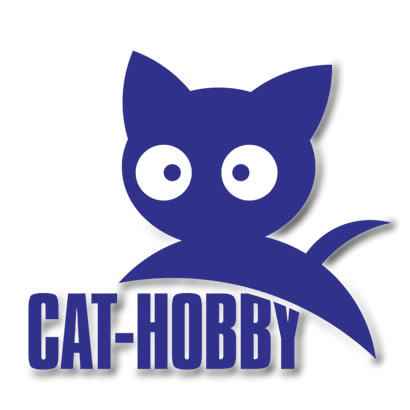 飞猫模型