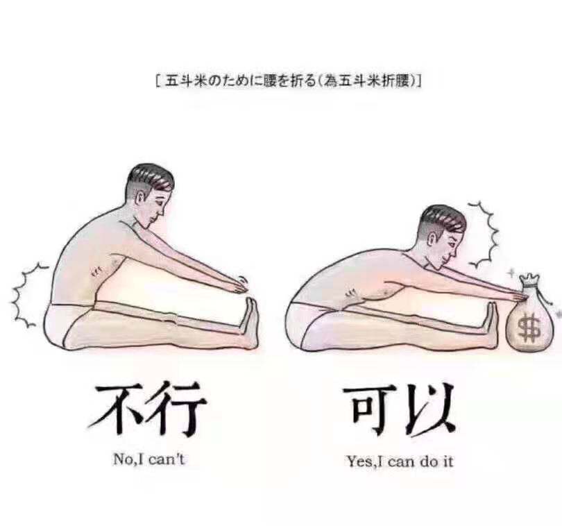 丽宁车品店企业店