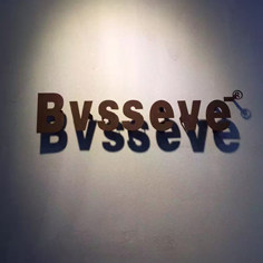 GT1978 BVSSEVE