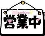 多宝甄选 店铺LOGO
