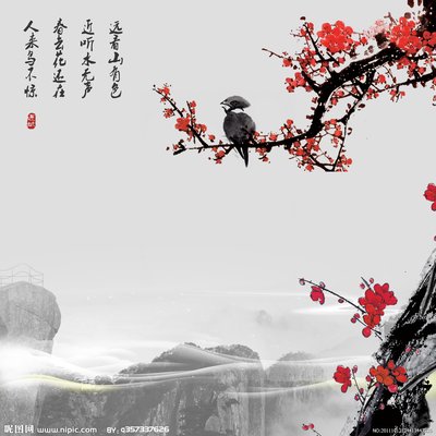 风之力家庭户外养生馆