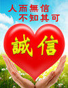 森农哥 无花果果苗