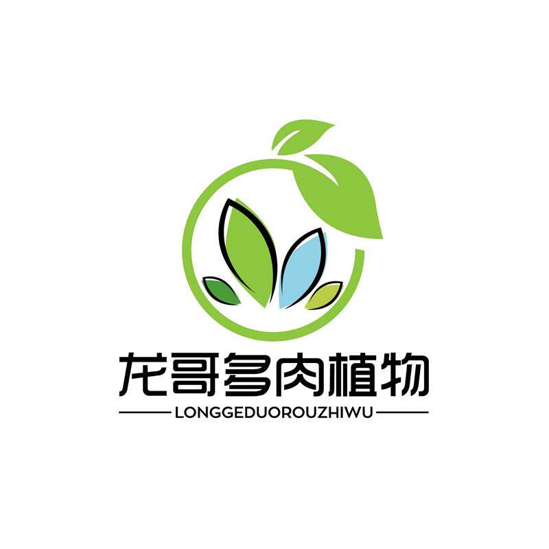 龙哥多肉植物