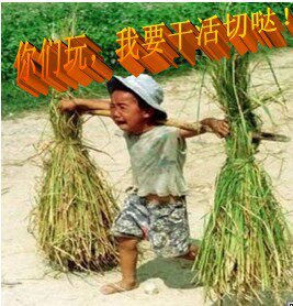 邯郸浓乡情特产店