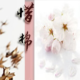 惜棉 店铺LOGO