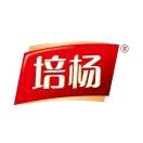 培杨山东土特产