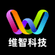 维智跨境出海