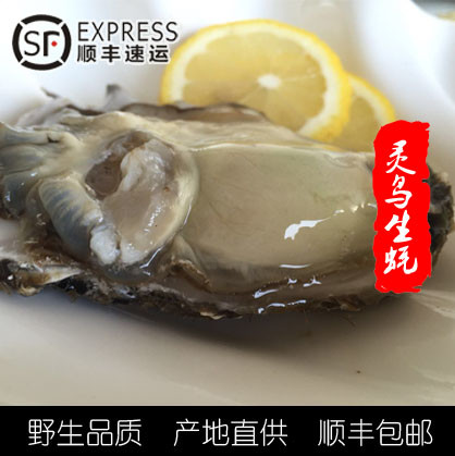 小美聪