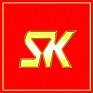 SK汽车电器维修配件