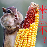 新疆吃货天堂