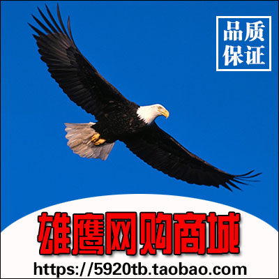 雄鹰网购商城