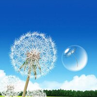 鑫淼空调制冷配件