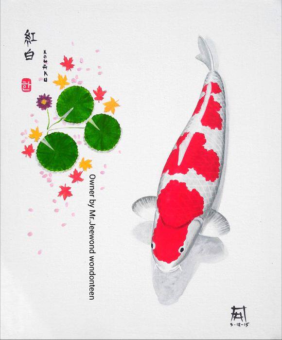 云鱼水族店