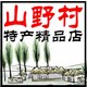 山野村特产精品店