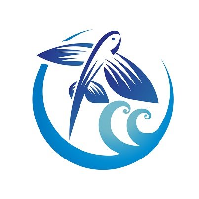 飞鱼运动 17年老店 只售正品