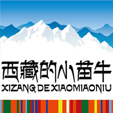 西藏的小苗牛