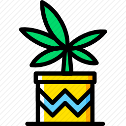 乐可植物 店铺LOGO