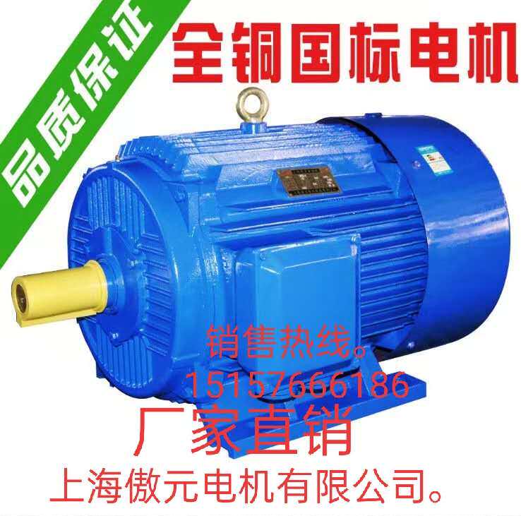上海傲元电机有限公司