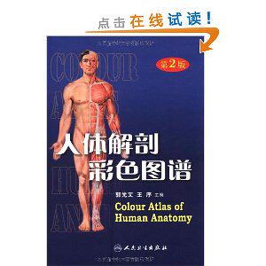 鑫鑫lvc