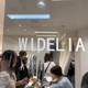 WIDELIA批发零售店 店铺LOGO