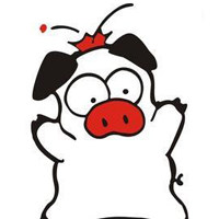 琦琦小衣橱