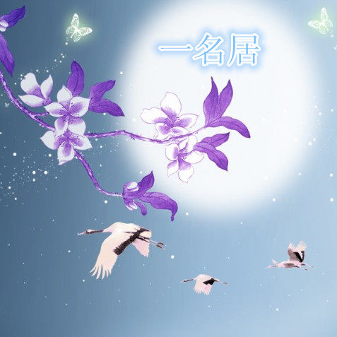 辰龙盆景花卉