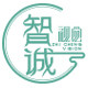 智诚视觉