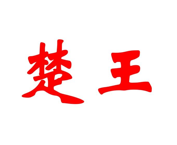 广州楚王数码科技