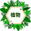 花间赋色品牌店