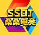 桑桑代练