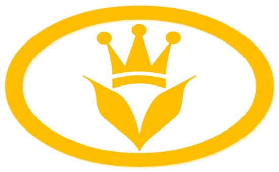 澳典奇皮草 店铺LOGO