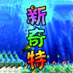 新奇特特产
