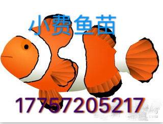 浙江渔赢水产苗种养殖基地