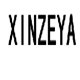 XINZEYA运动专业定制