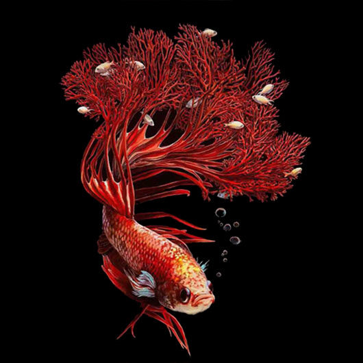 小王水族馆