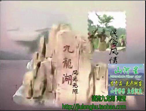 清流九龙湖网店闽花果树苗野果泉水鱼苗水稻