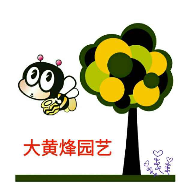 大黄烽园艺