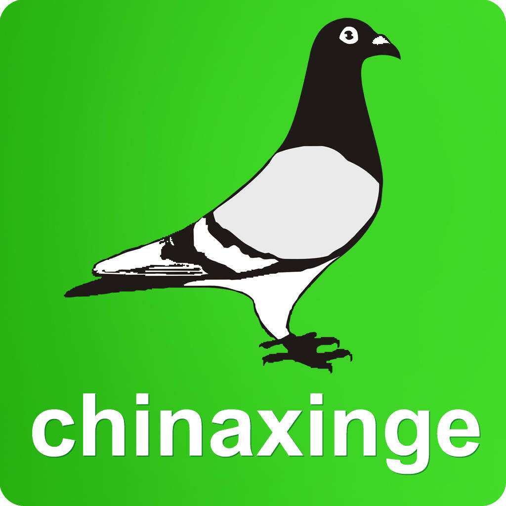 圆梦鸽业优品店 店铺LOGO