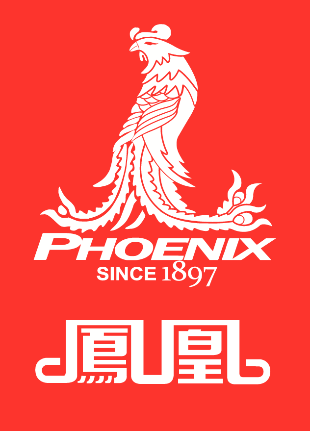 凤凰自行车品牌折扣店