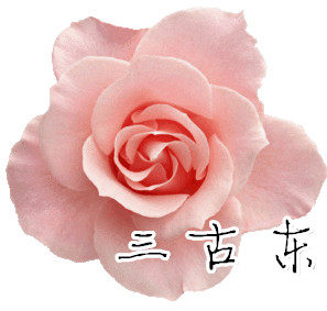 三古东外贸毛巾