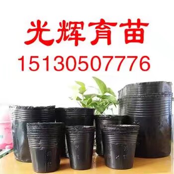 光辉营养钵店