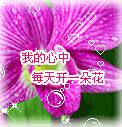 嗨皮玩具城