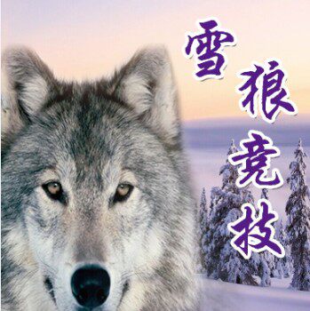 雪狼竞技