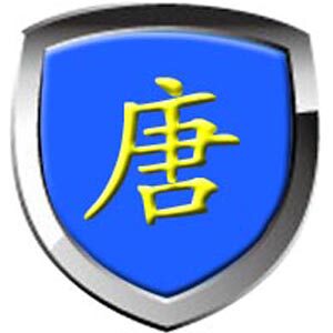 大唐保镖企业店